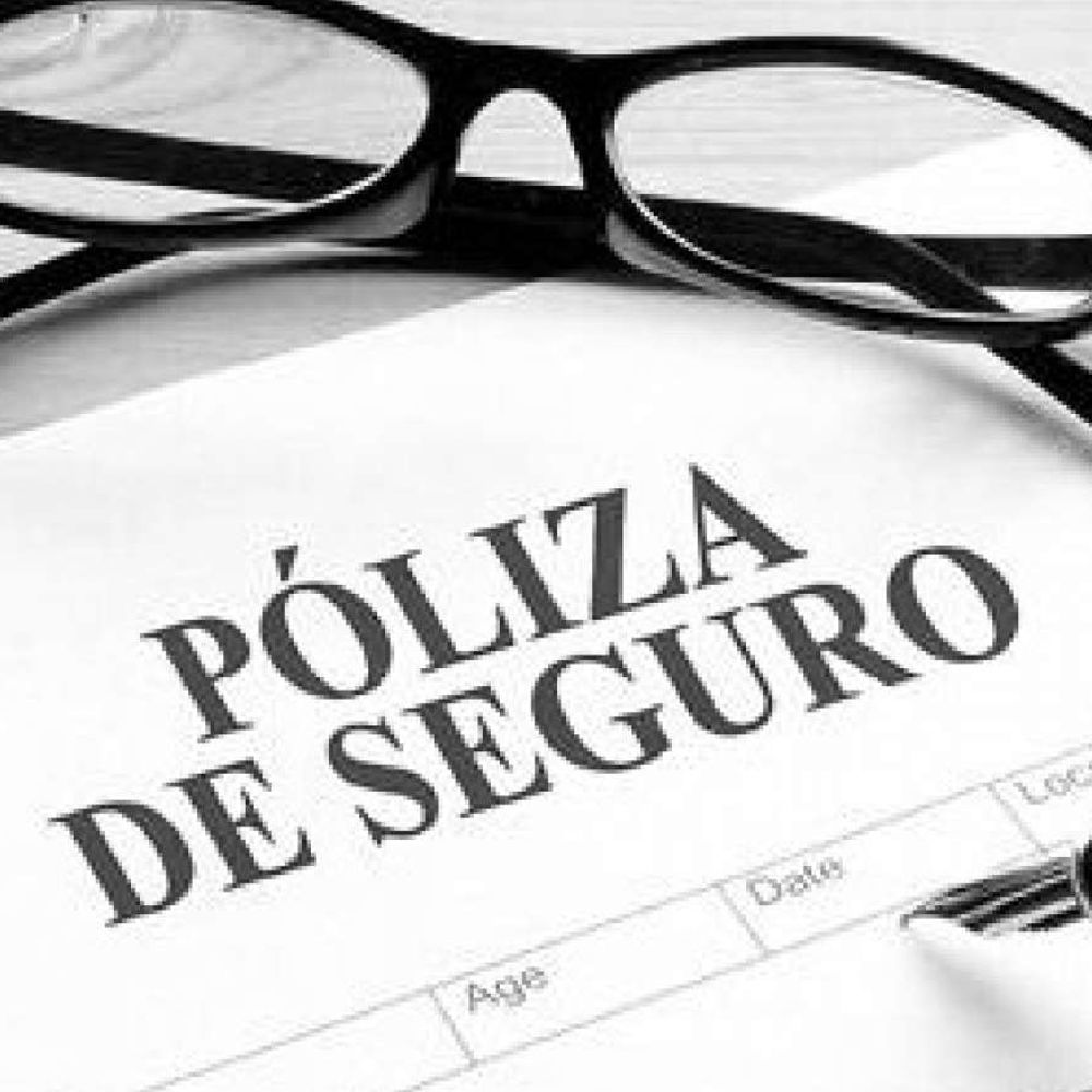 Elaboramos programas y cotizaciones de seguros para los distintos riegos que manejamos